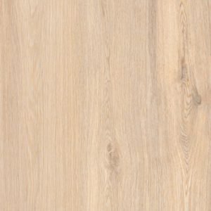 CHATEAU BEIGE  60X120