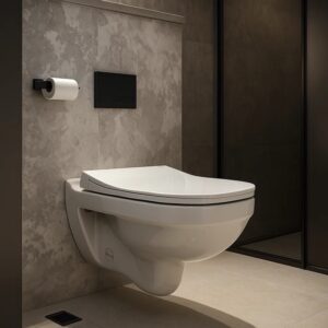 OG100DS11OH WC SHOLE