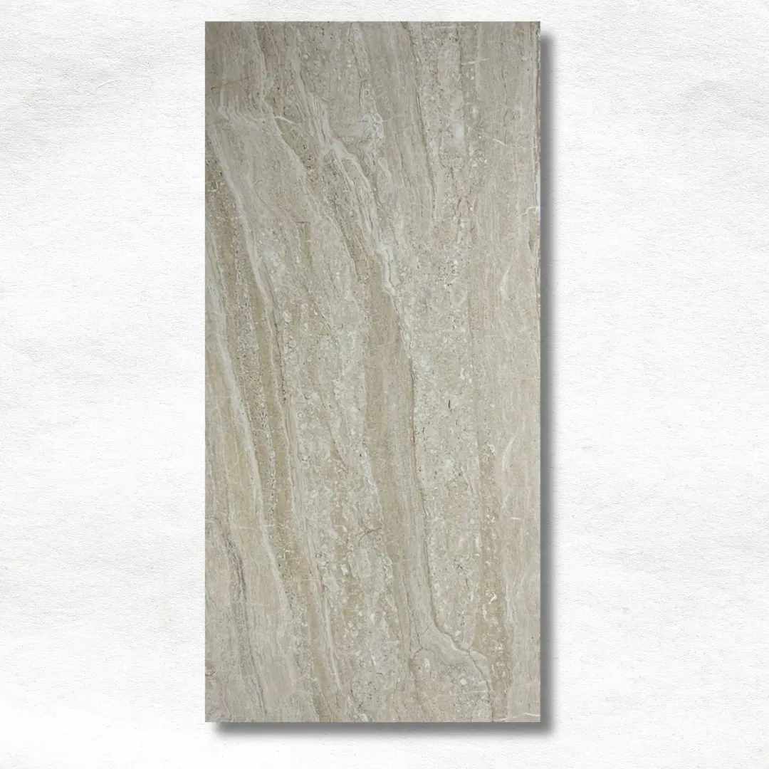 DYNA SUPREME 60X120 - Figura 2