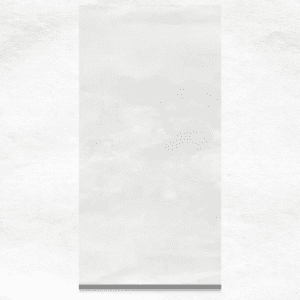 SUBWAY LIGHT GREY 30x60